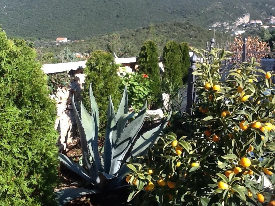 Villa Mirista لوستيكا الغرفة الصورة