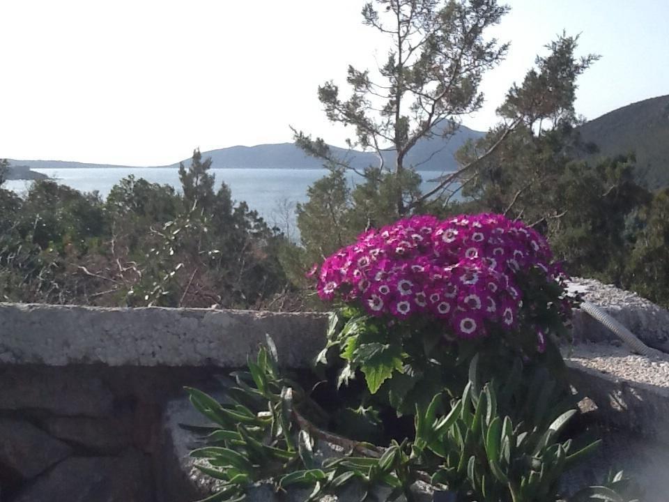 Villa Mirista لوستيكا الغرفة الصورة